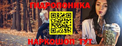 гидропоника Балахна