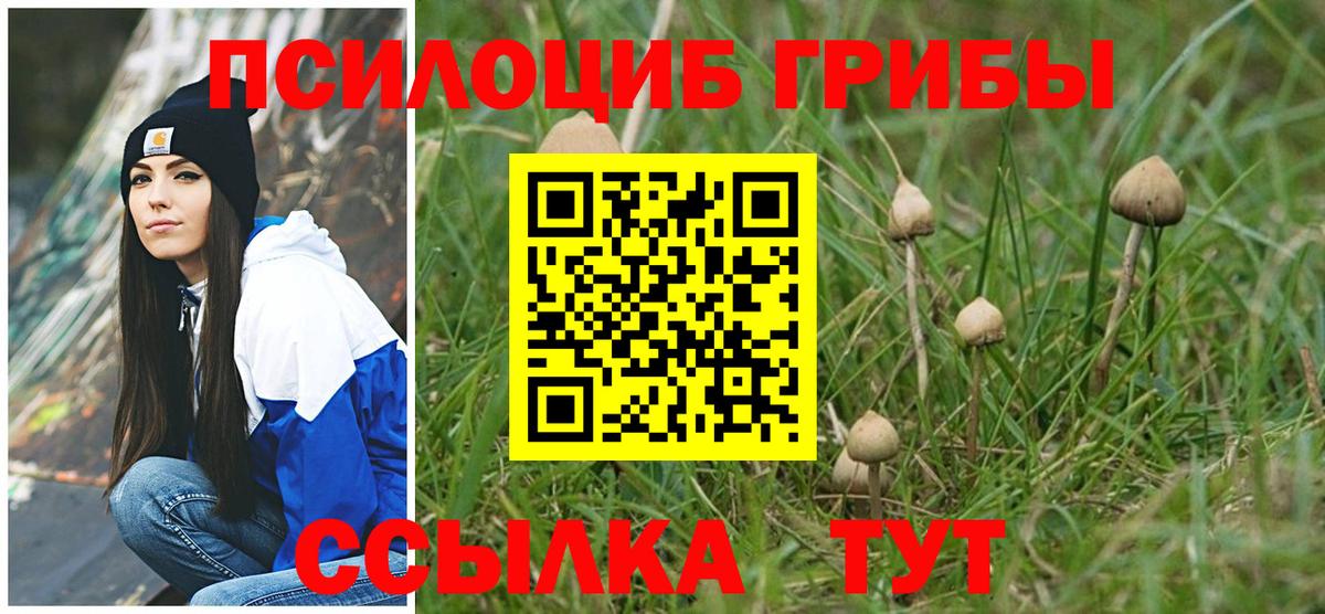 Балашиха  Галлюциногенные грибы Magic Shrooms  Псилоцибиновые грибы Psilocybe  Вход с VPN 